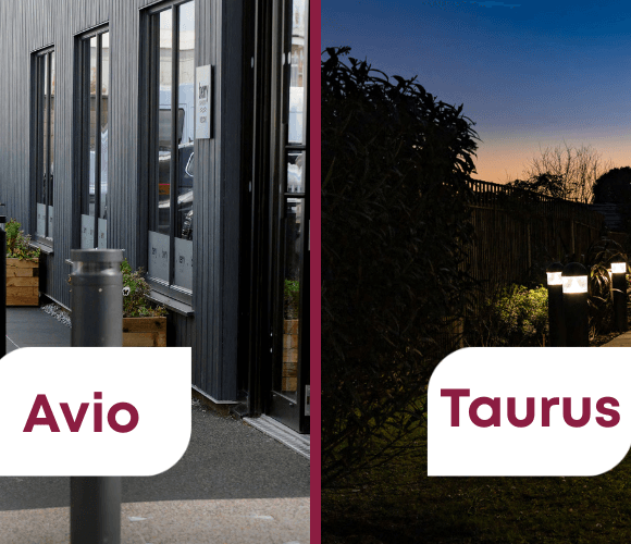 Avio si Taurus